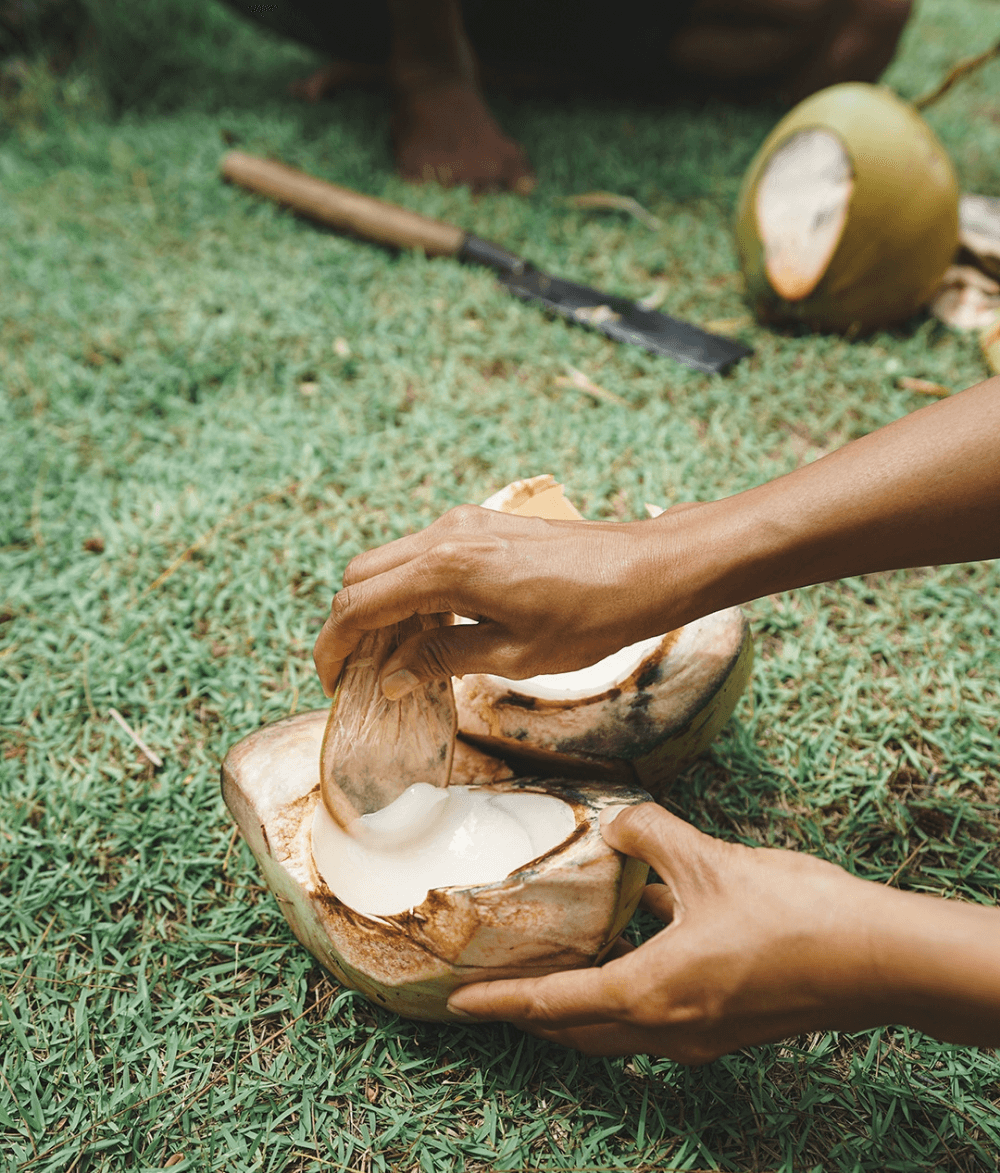 Freshly opened coconut at Pondok Santi Estate, Gili Trawangan.