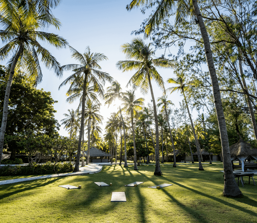 Yoga mats on lush lawn at Pondok Santi Estate, Gili Trawangan, surrounded by coconut trees and morning light.