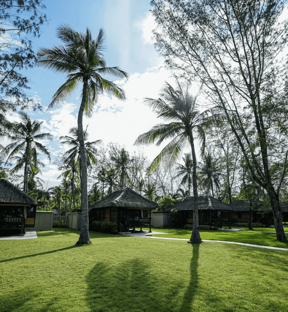 Palm View Bungalows at Pondok Santi Estate, Gili Trawangan, surrounded by coconut trees on the beautiful estate.