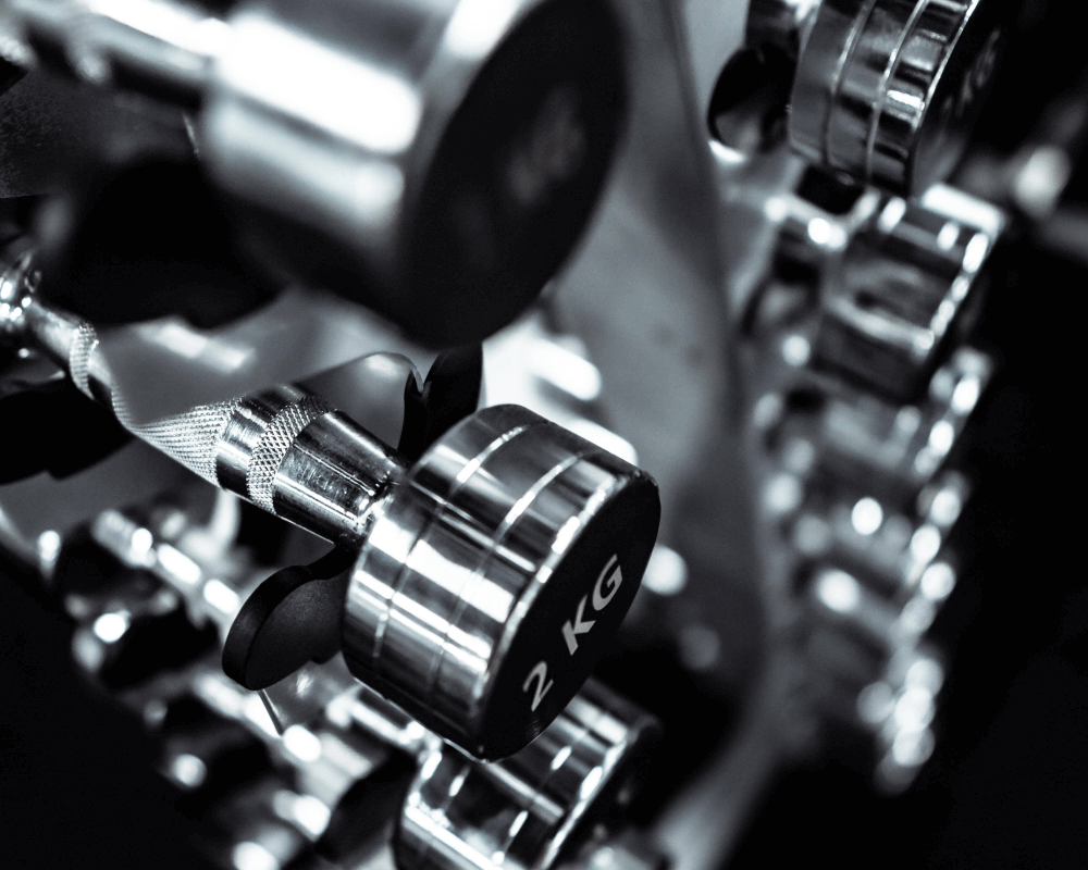 Assorted weights for fitness training.